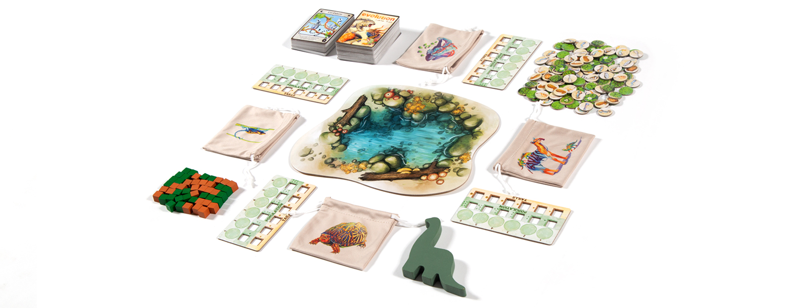 Evolution