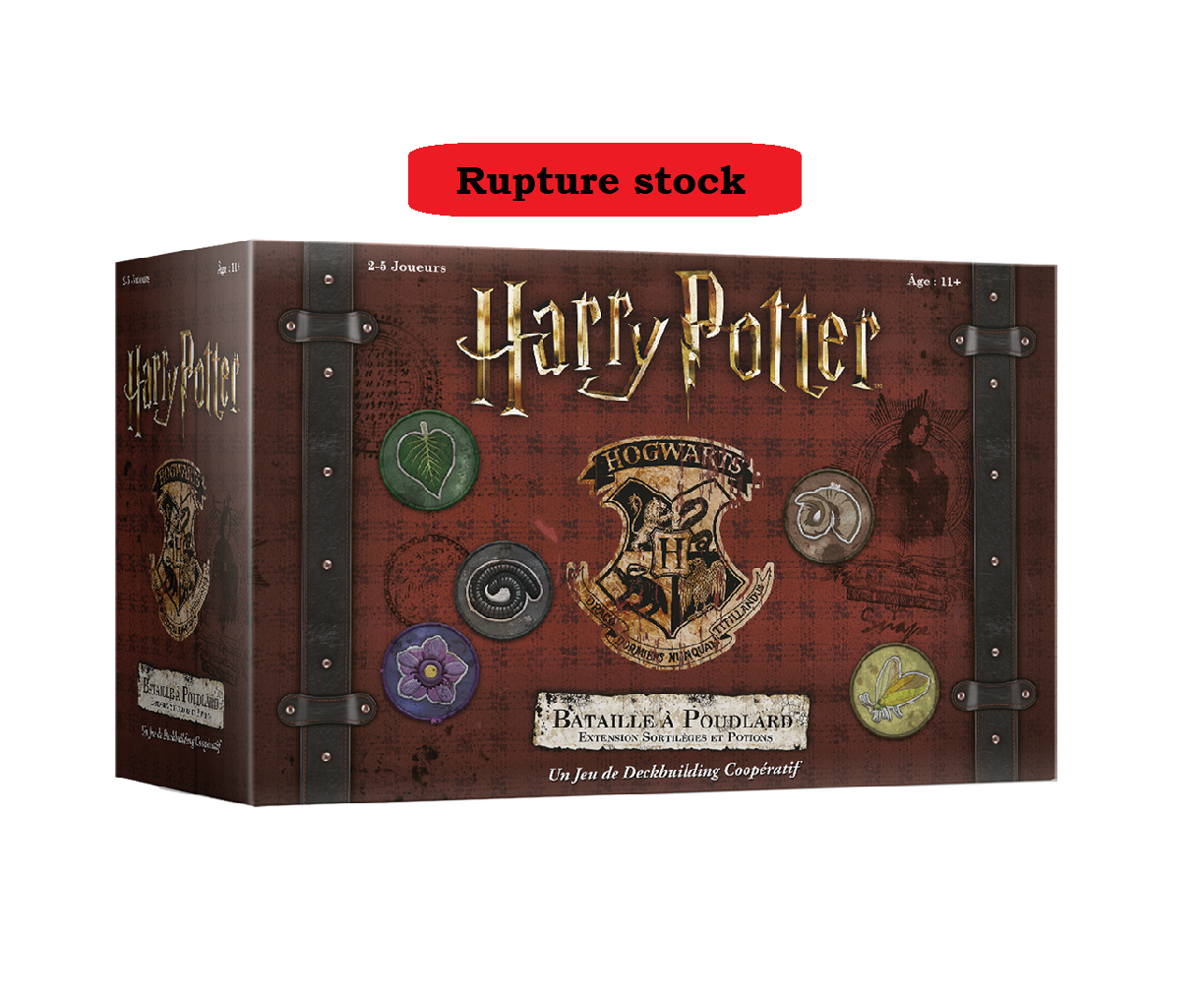 HARRY POTTER : SORTILEGES ET POTIONS (EXT)